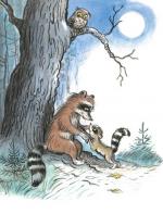 Лилиан Муур. Крошка Енот и тот, кто сидит в пруду. Издательство Детская литература, 1991 г.
